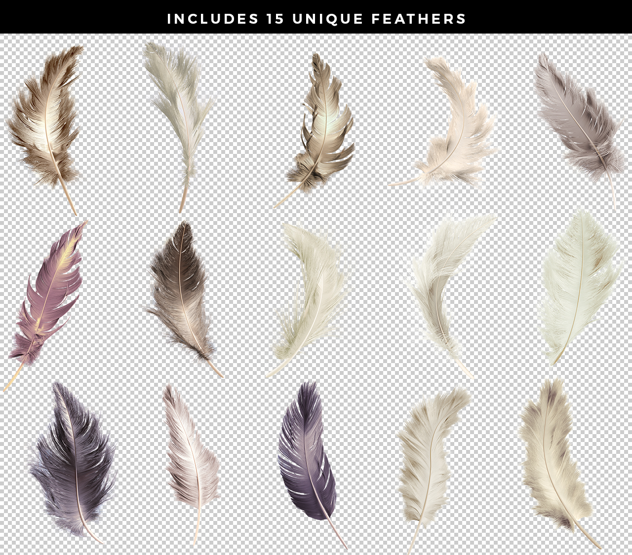 Transparent .png feather renders