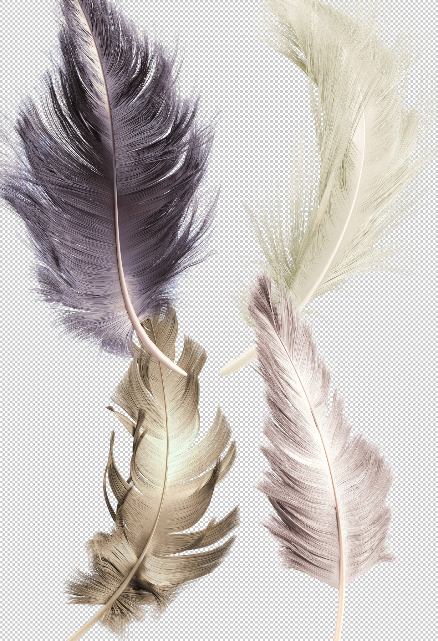 Transparent .png feather renders