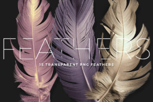 PNG Feather Renders Pack