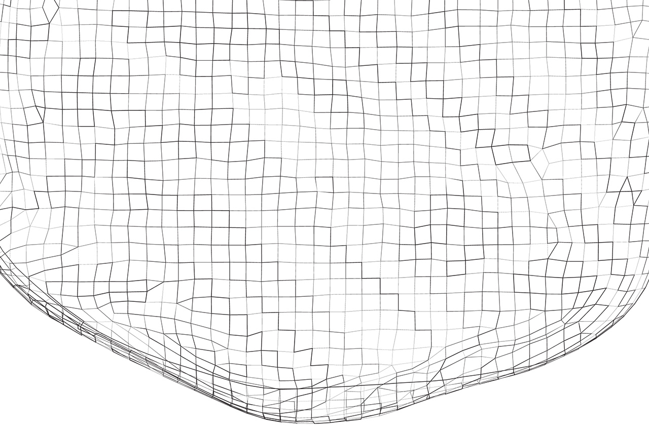 Wireframe Vector