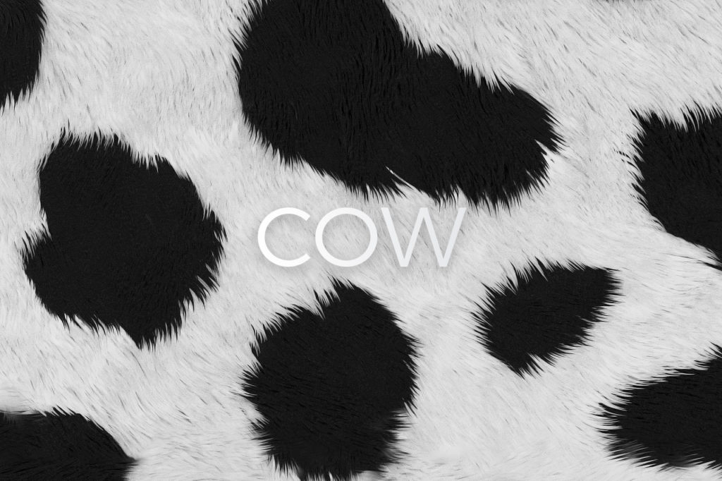 Cow Skin Print Pattern