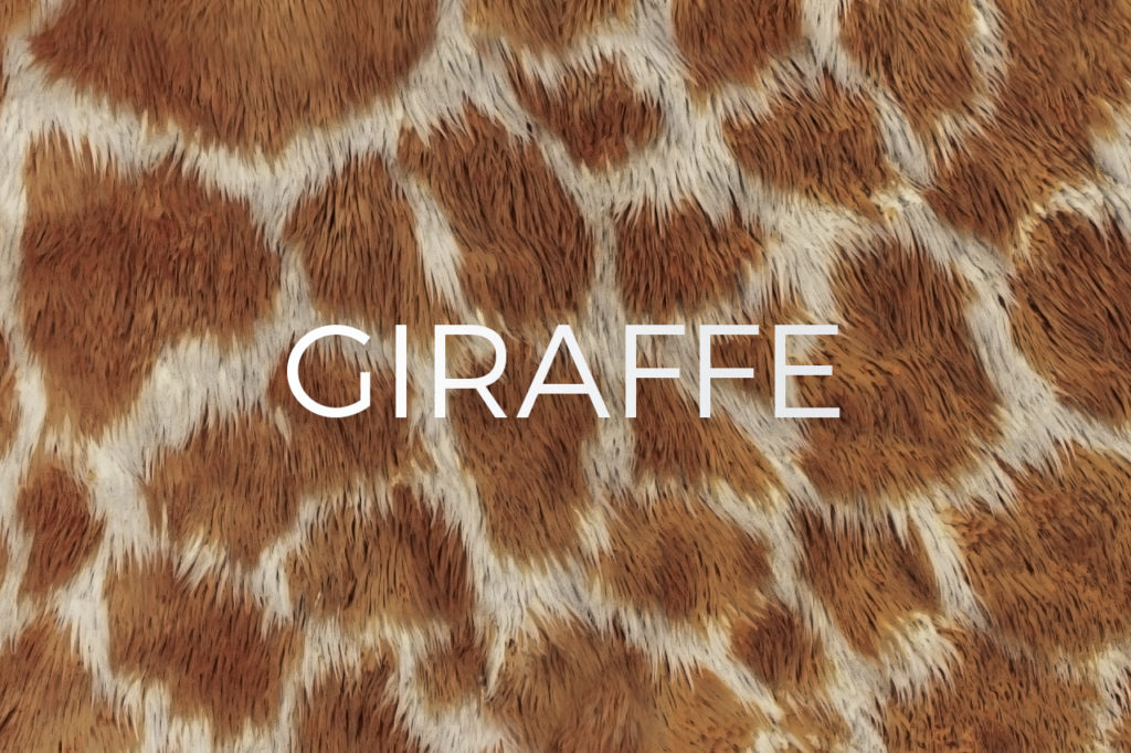Giraffe Skin Print Pattern