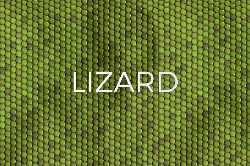 Lizard/Gecko Skin Pattern