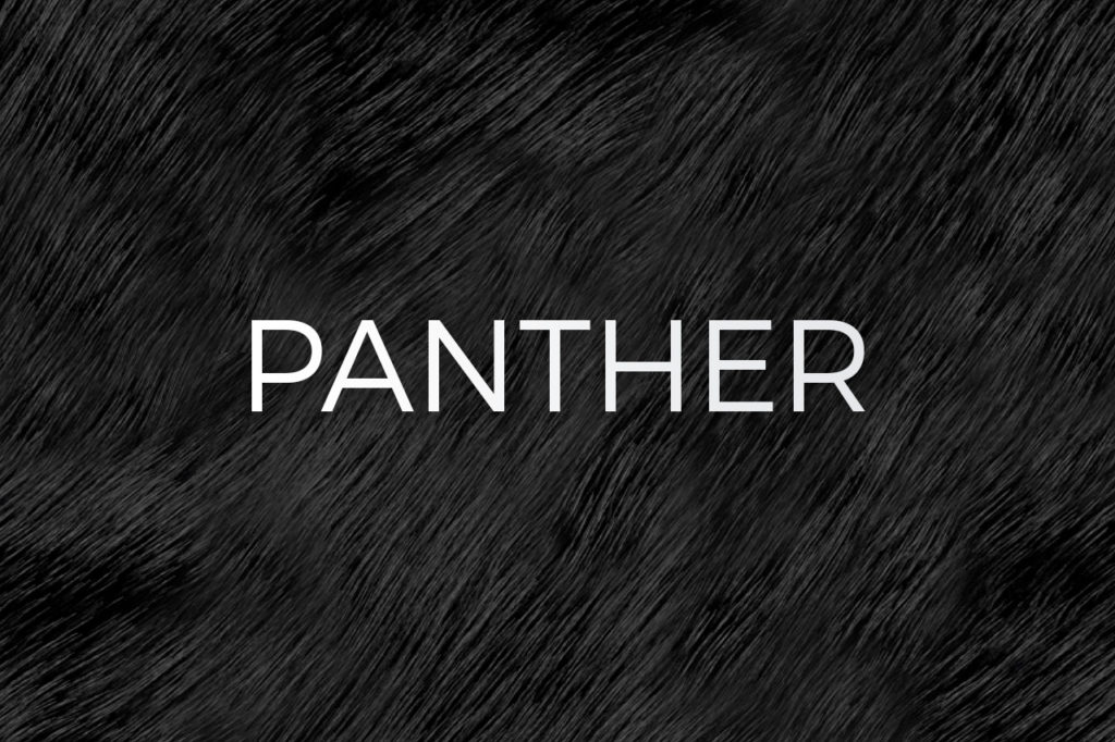 Panther Print Pattern