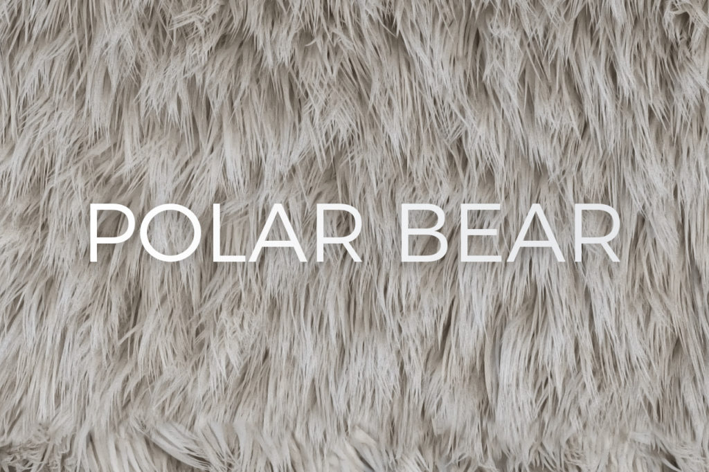 Polar Bear Skin Fur Texture