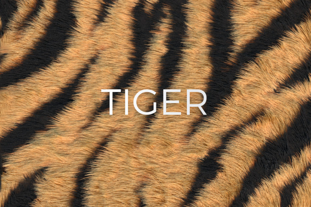 Tiger Stripes Print Pattern