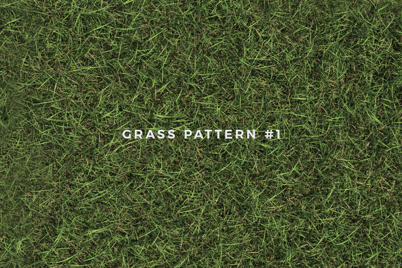 Seamless Grass Pattern/Texture 1