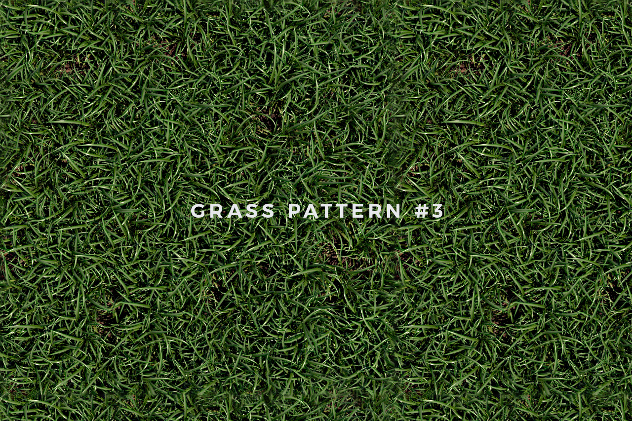 Seamless Grass Pattern/Texture 3