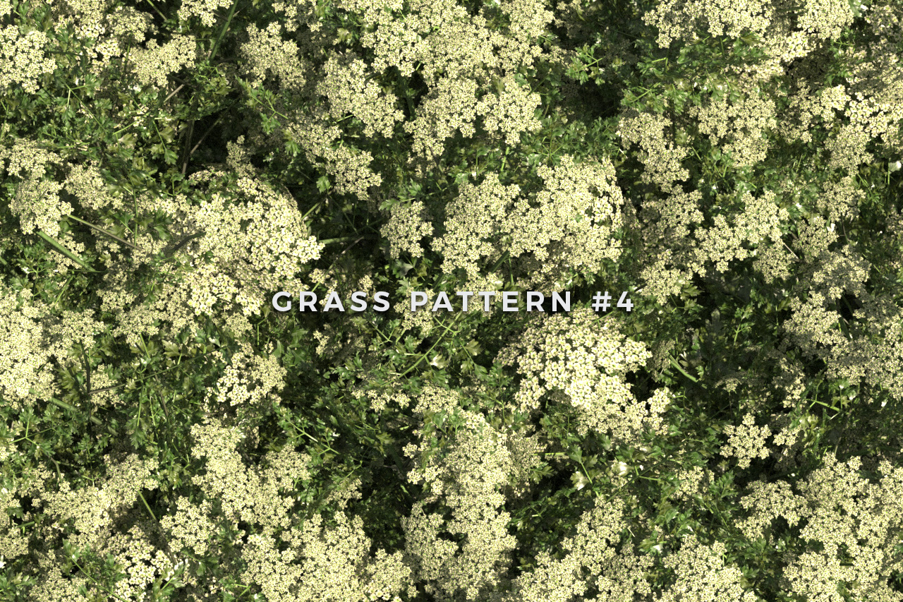 Seamless Grass Pattern/Texture 4