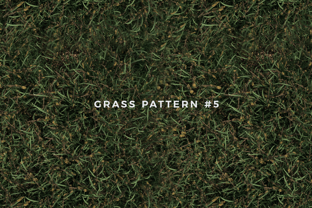 Seamless Grass Pattern/Texture 5