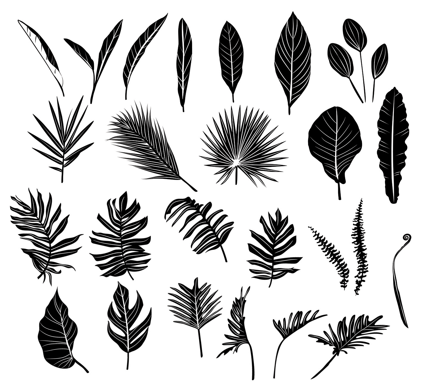 Black Leaf/Leaves Vector