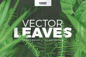 Vector Leaves Pack