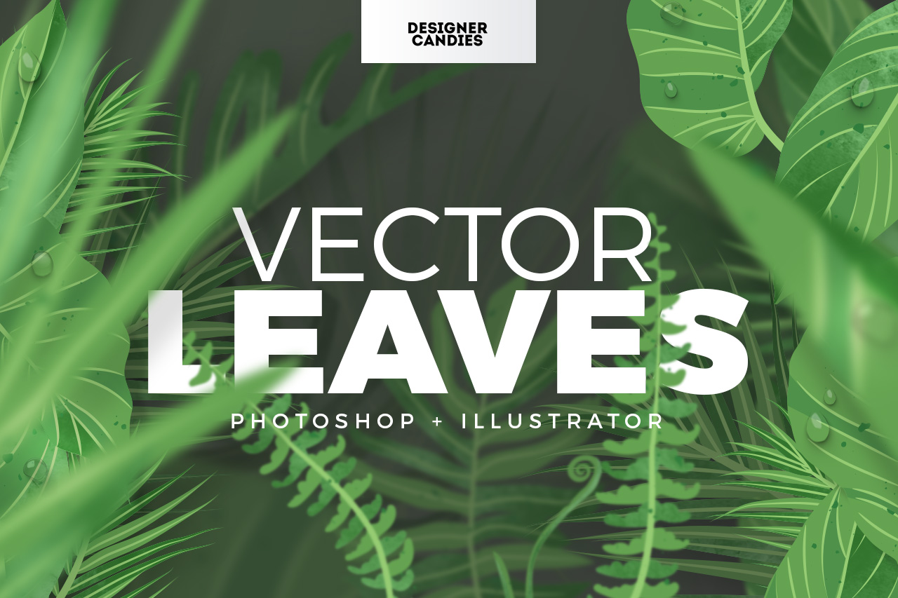Vector Leaves Pack