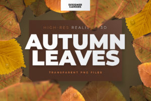 Autumn/Fall Leaves