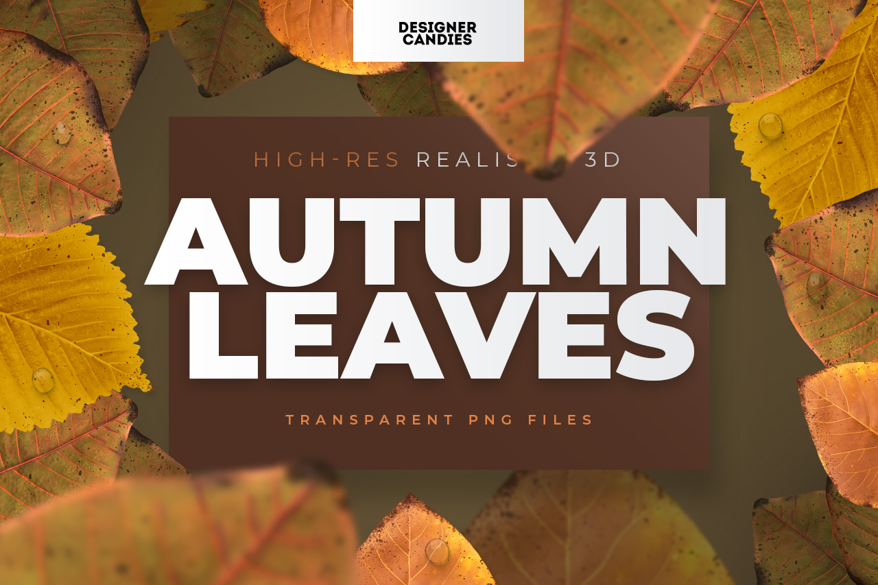 Autumn/Fall Leaves