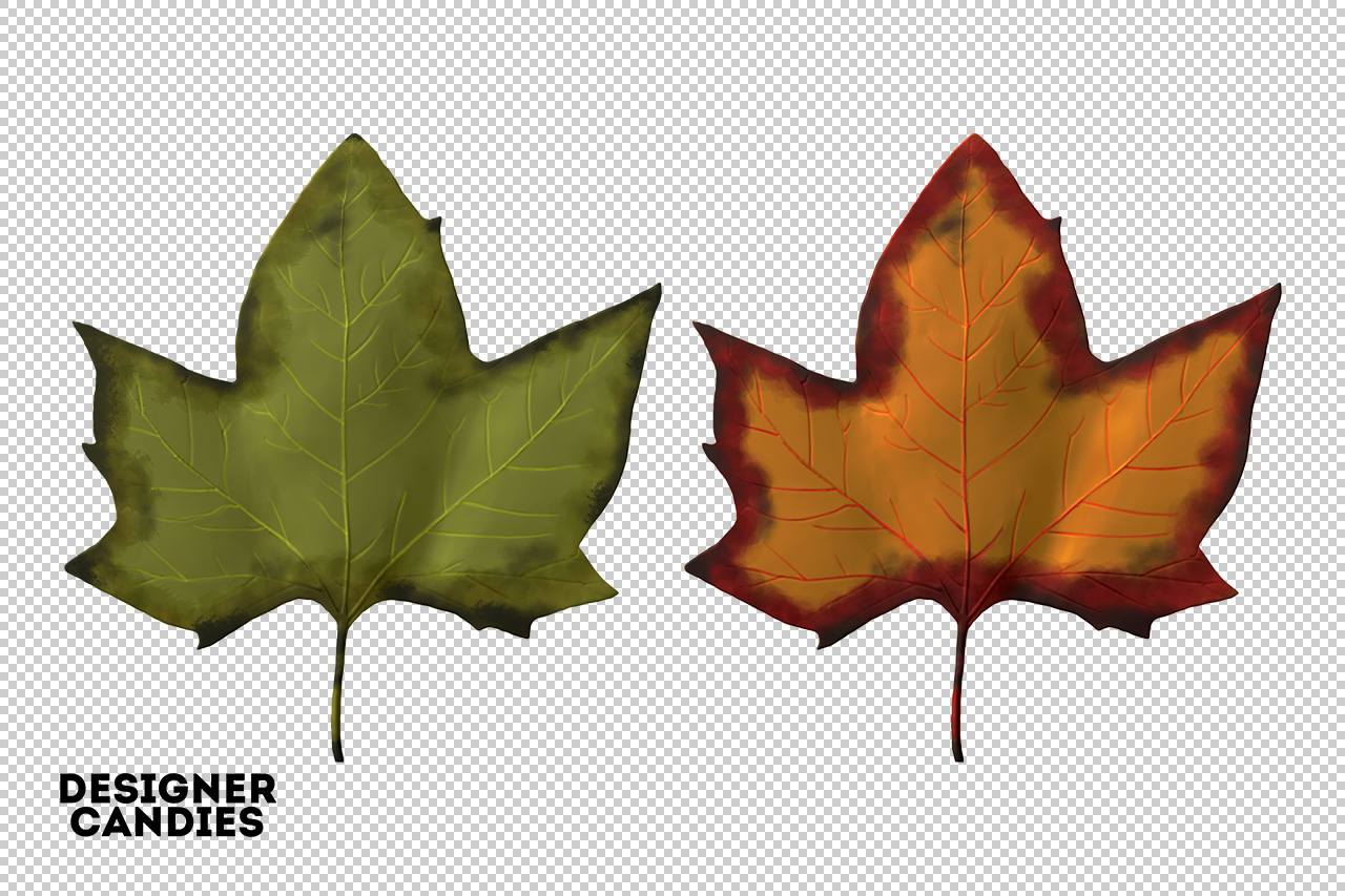 Autumn/Fall Leaf Preview
