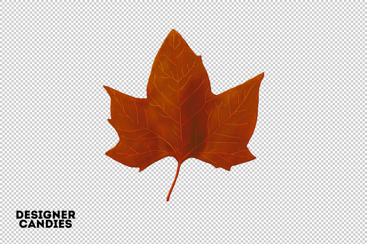 Autumn/Fall Leaf Preview