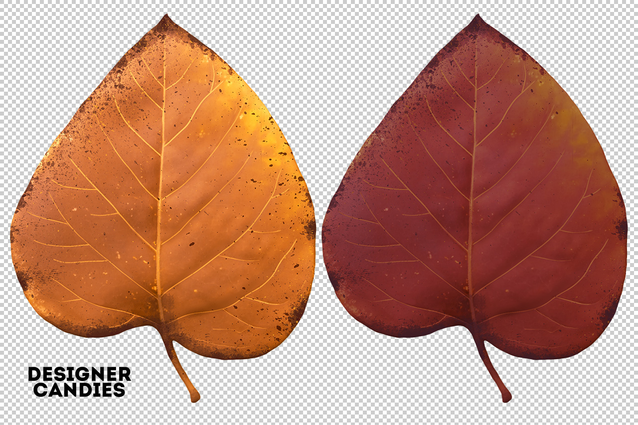 Autumn/Fall Leaf Preview