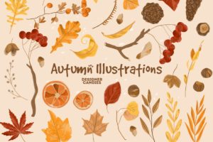 Autumn/Fall Vector Illustrations