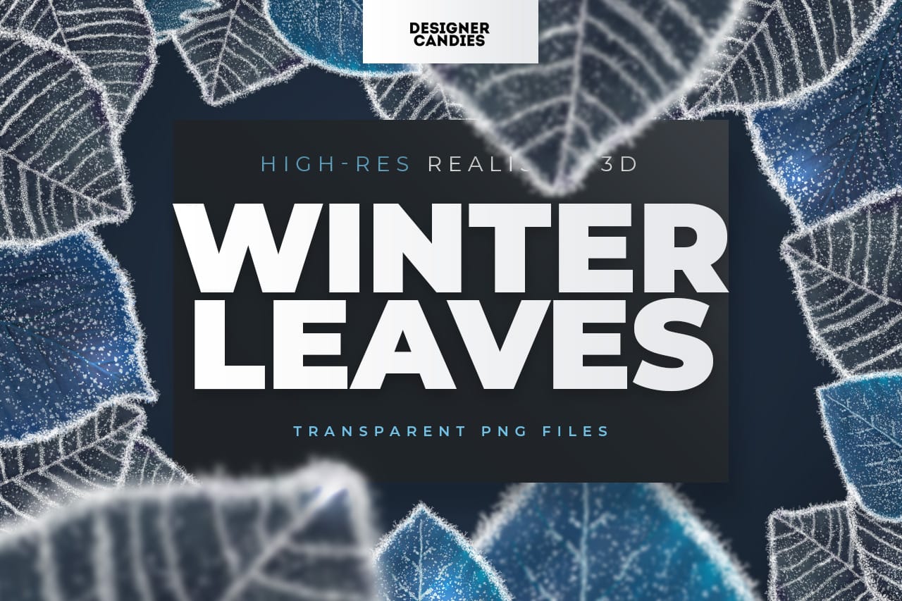 Frosted Winter Leaves in PNG