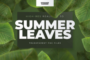 Summer Leaf PNGs