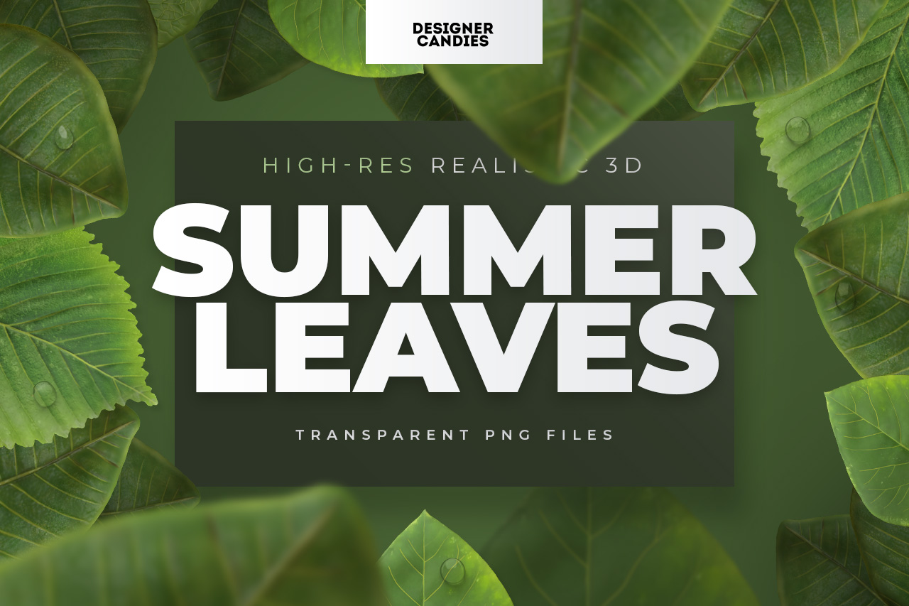 Summer Leaf PNGs