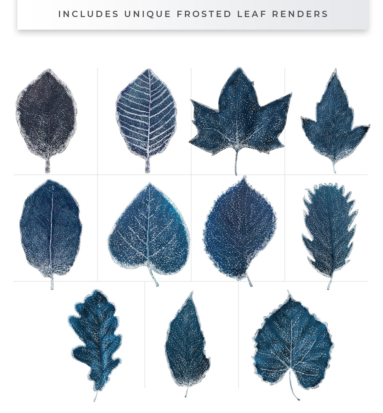 Winter Leaf PNGs