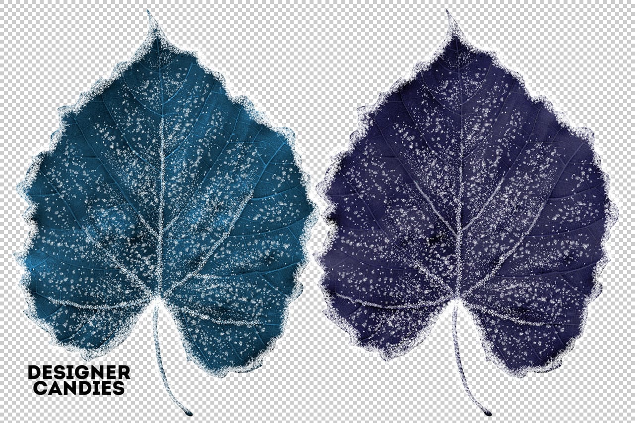 Winter Leaves Preview