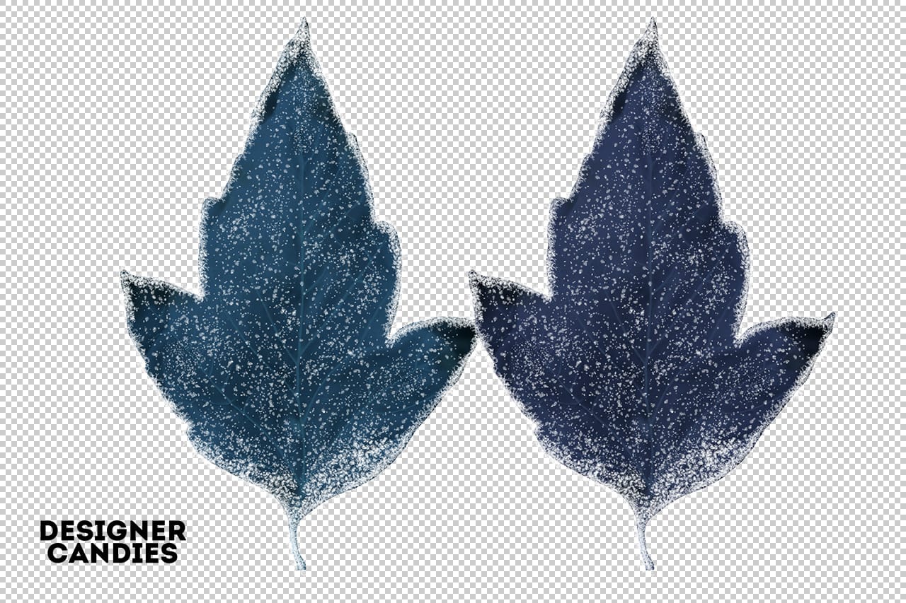 Winter Leaves Preview