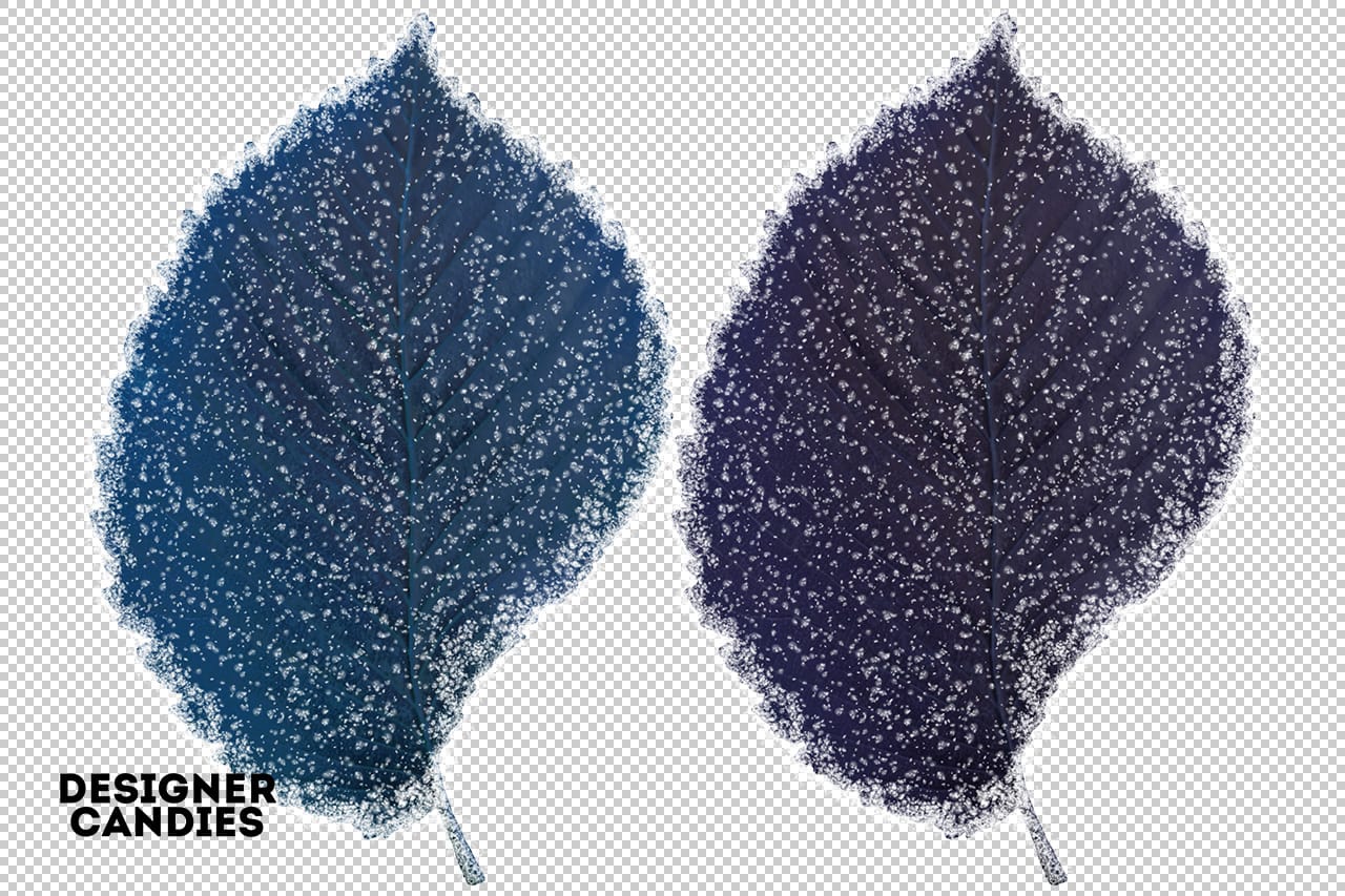 Winter Leaves Preview