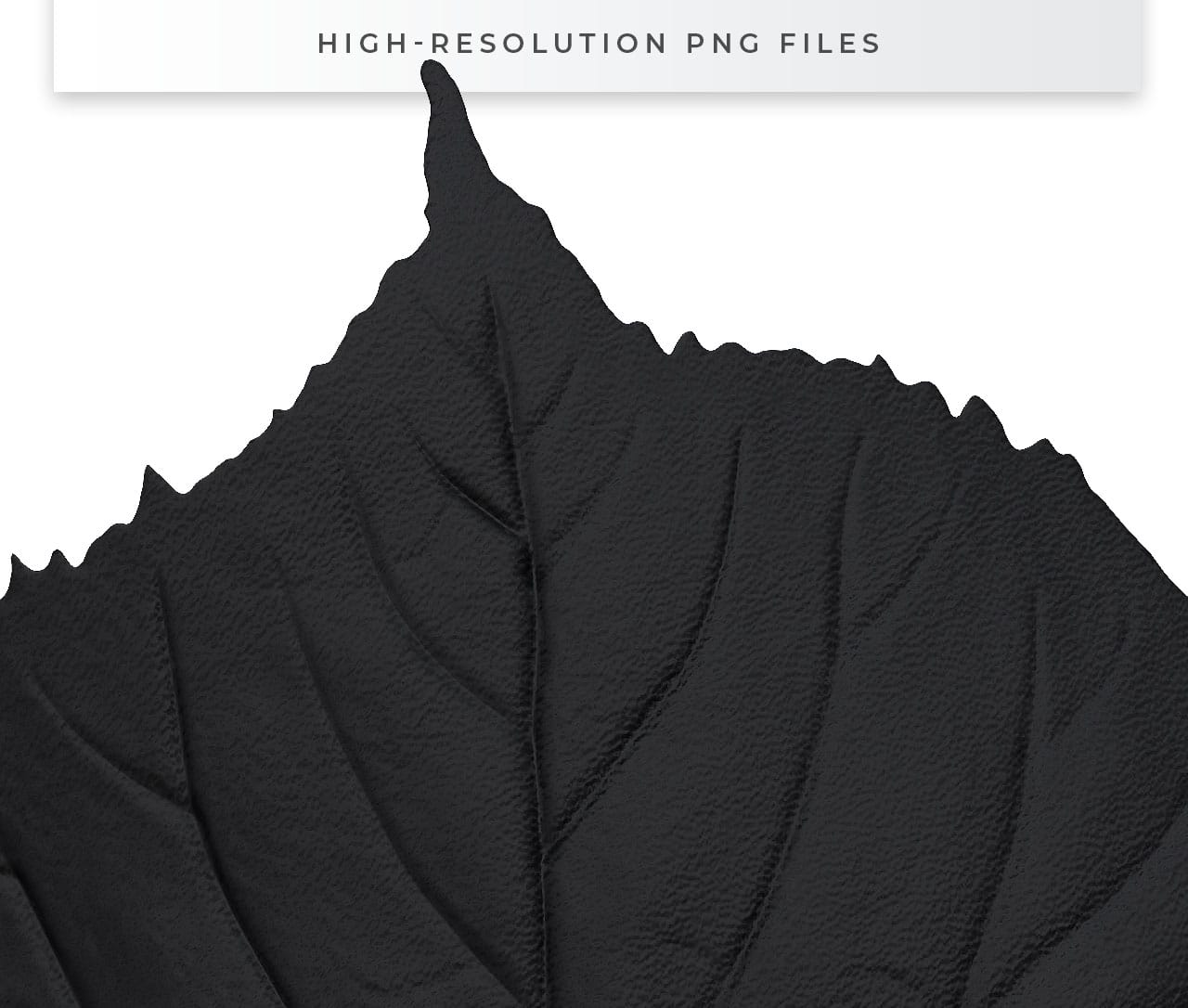 Black Leaf Clipart PNG