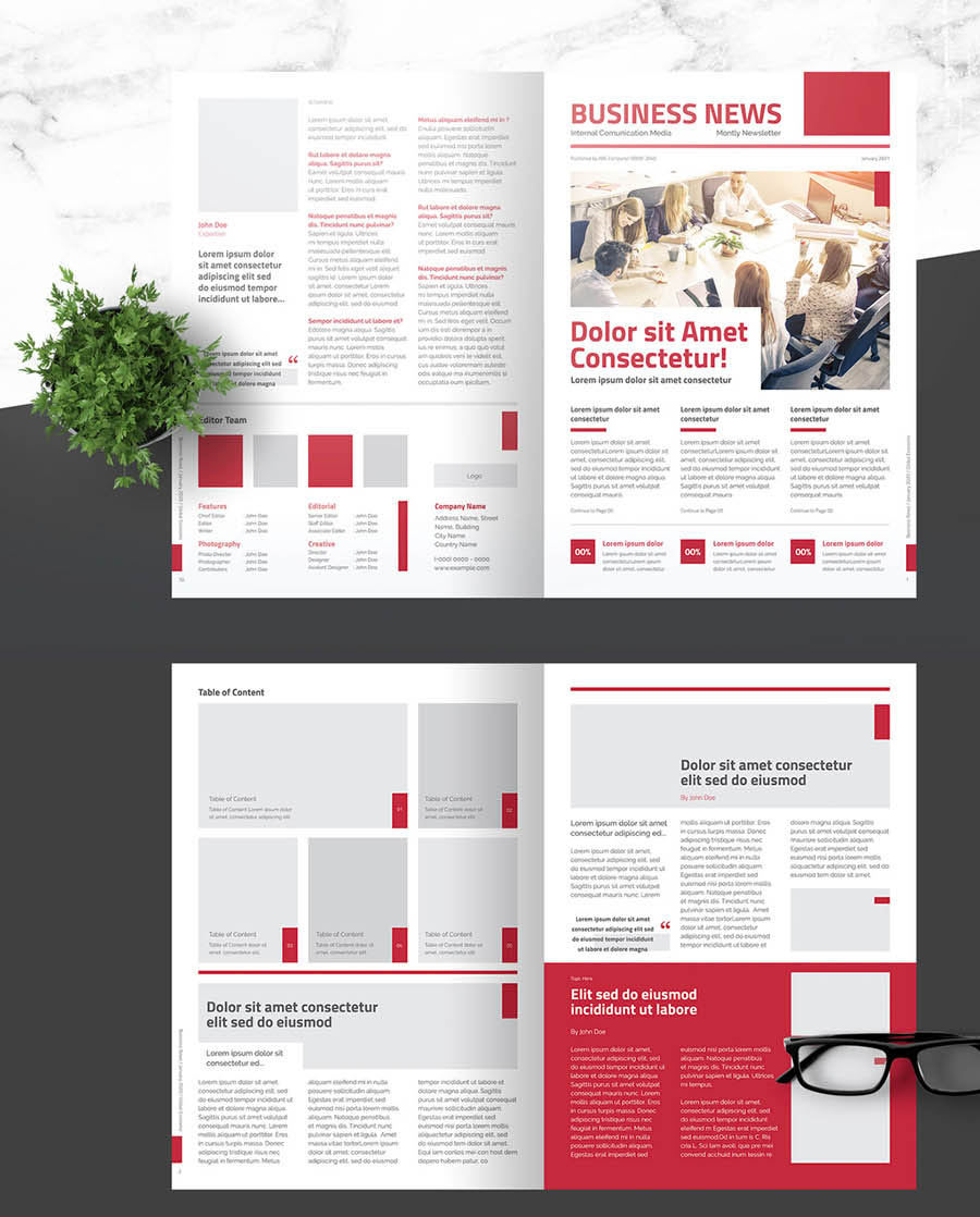 Business Newsletter with Light Red Accents Business Newsletter with Light Red Accents