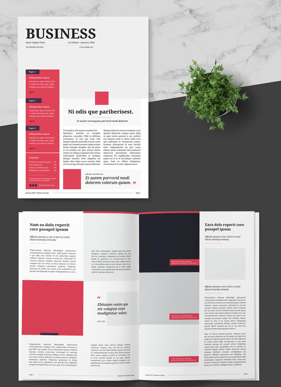 Business Newsletter with Red Accents