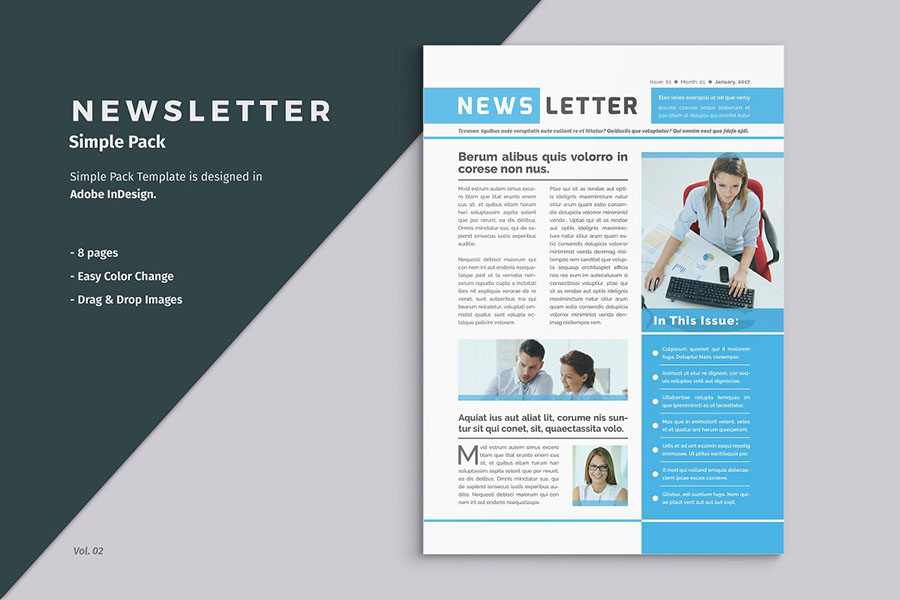 Business Newsletter Template Business Newsletter Template