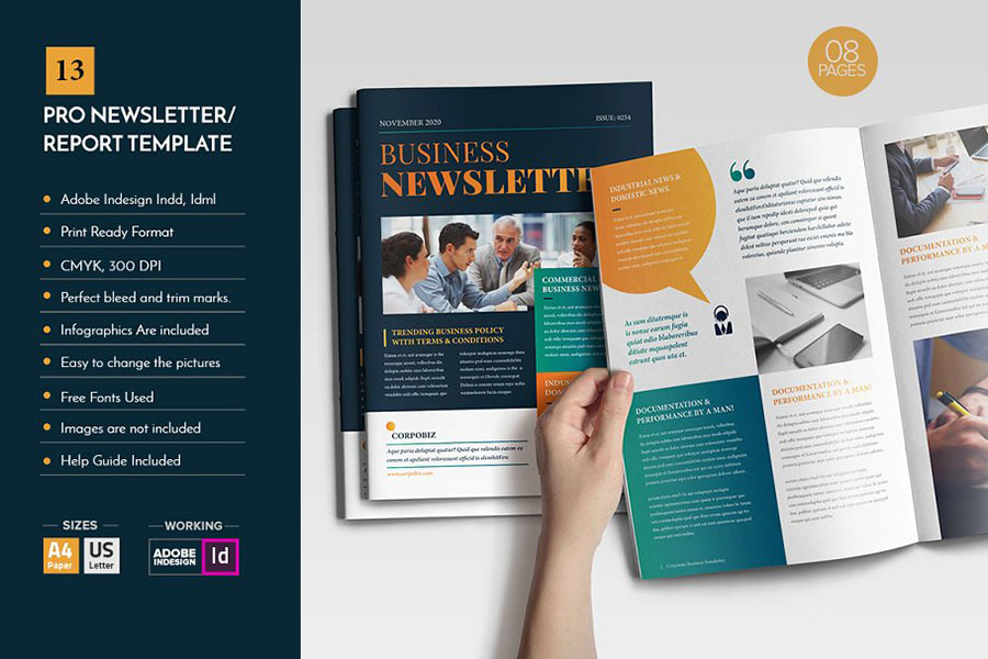 Professional Newsletter Template V12