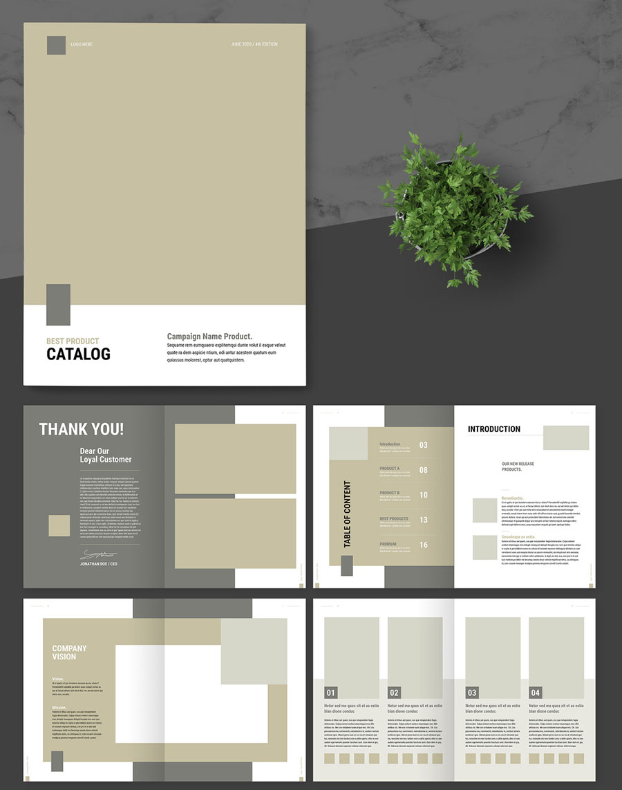 Product Catalog Layout with Brown Accent