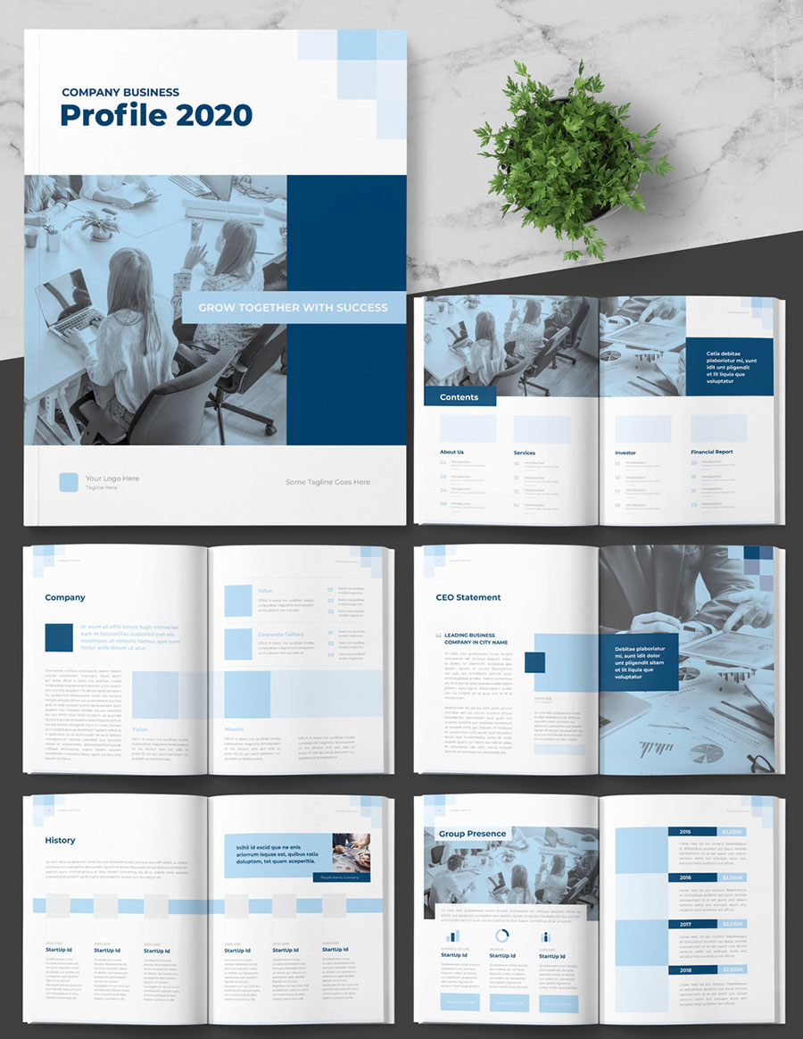Company Profile Booklet Layout with Blue Accents