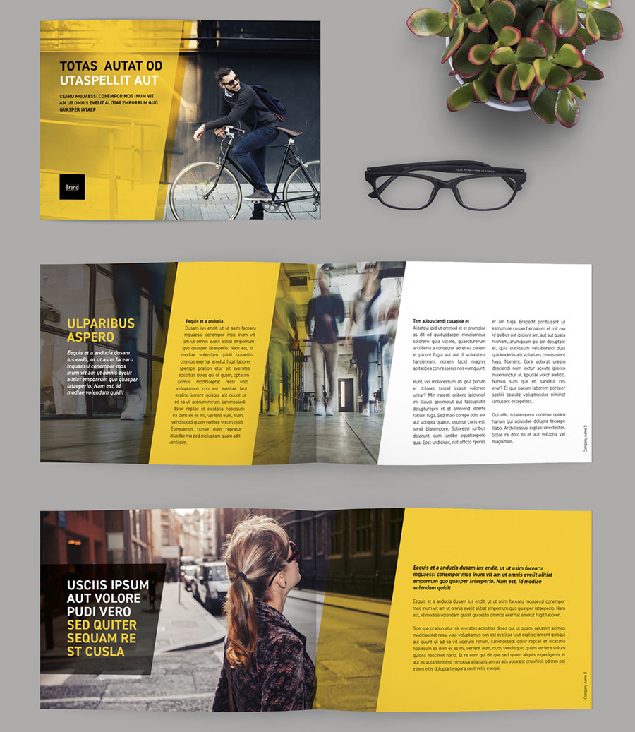 Business Brochure Layout with Yellow Accents