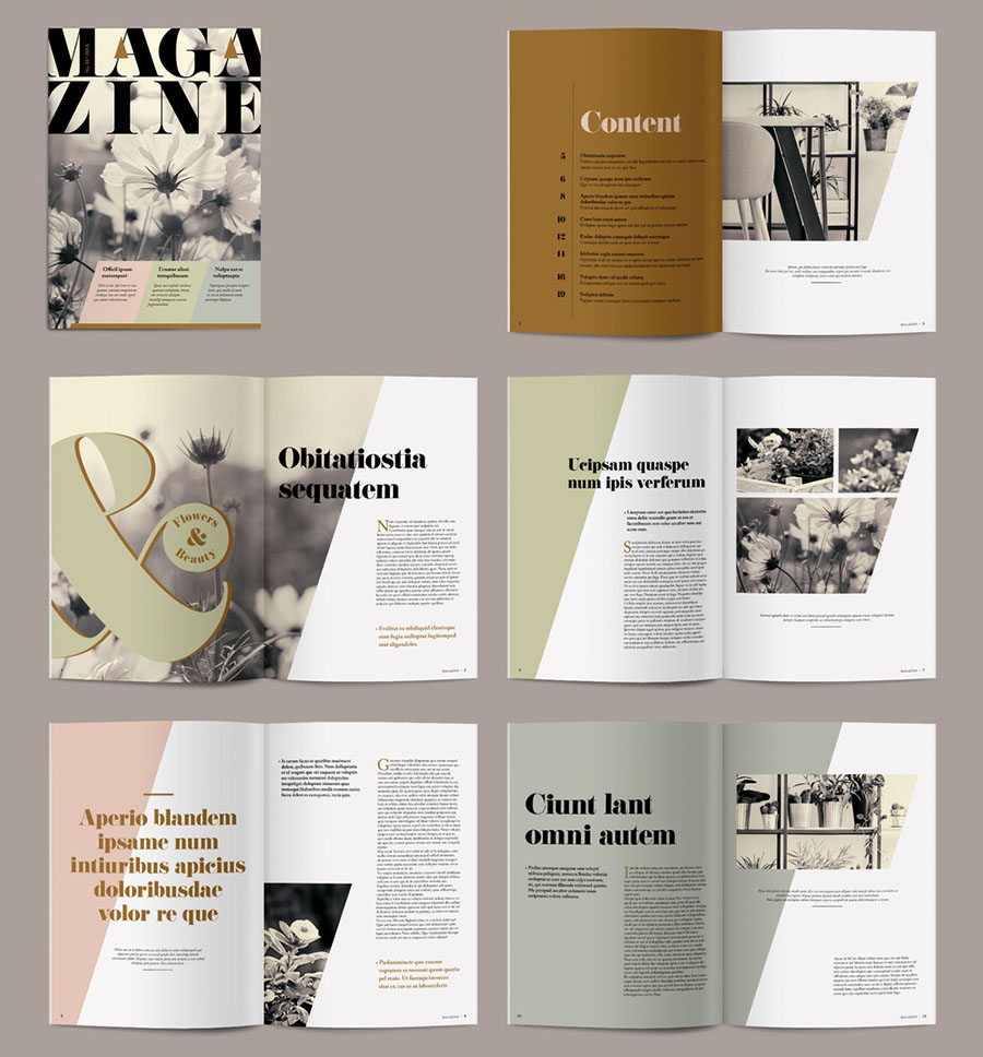 Magazine Layout with Colorful Accents