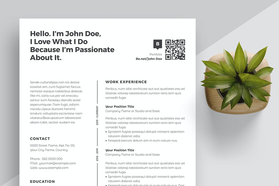 Sharp and Professional Resume Template 