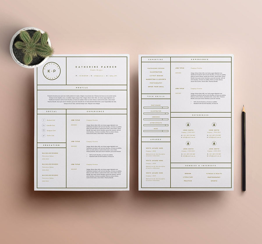 Resume Template 3 Page