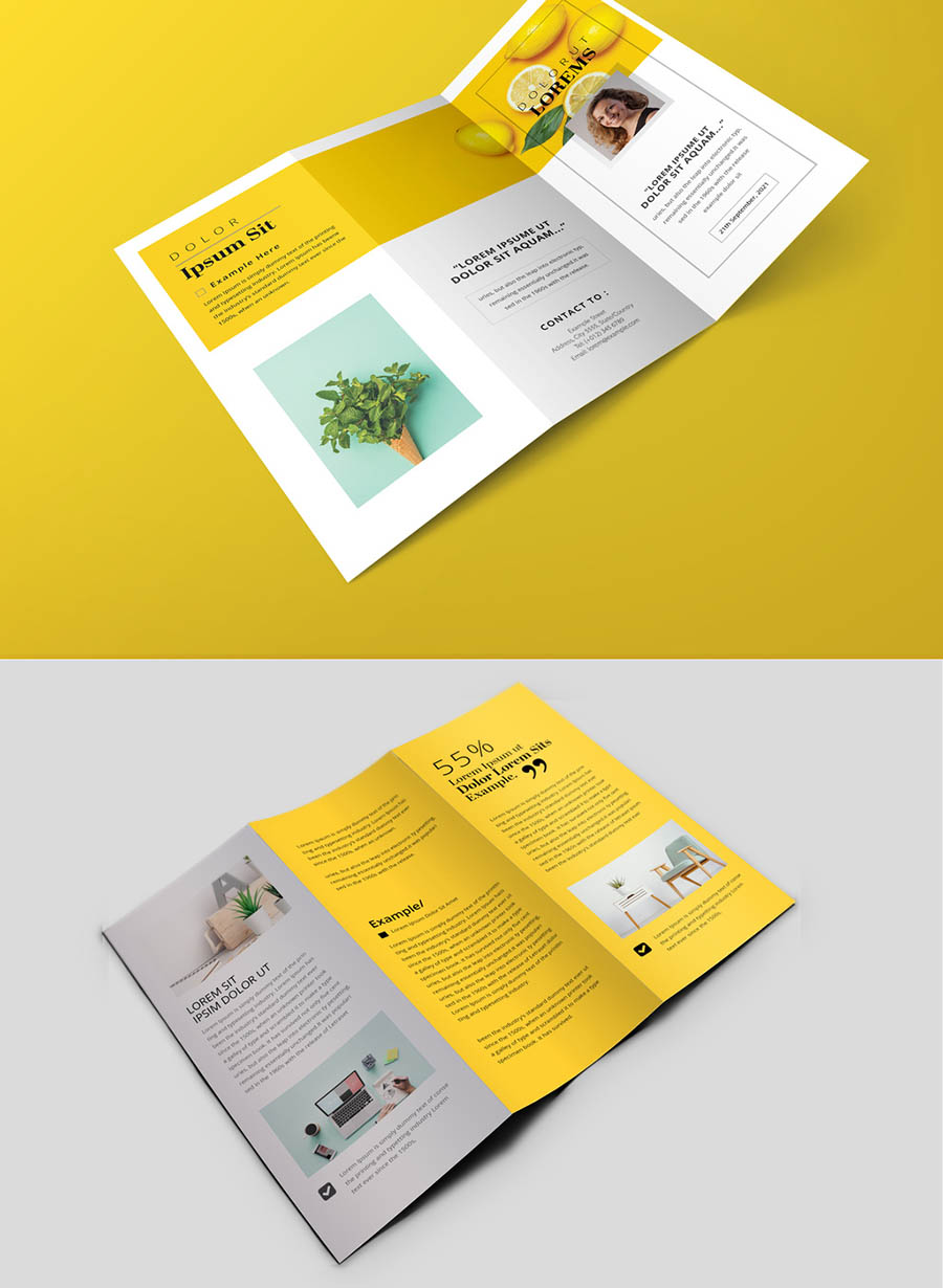 Minimal Trifold Brochure with Yellow Accents