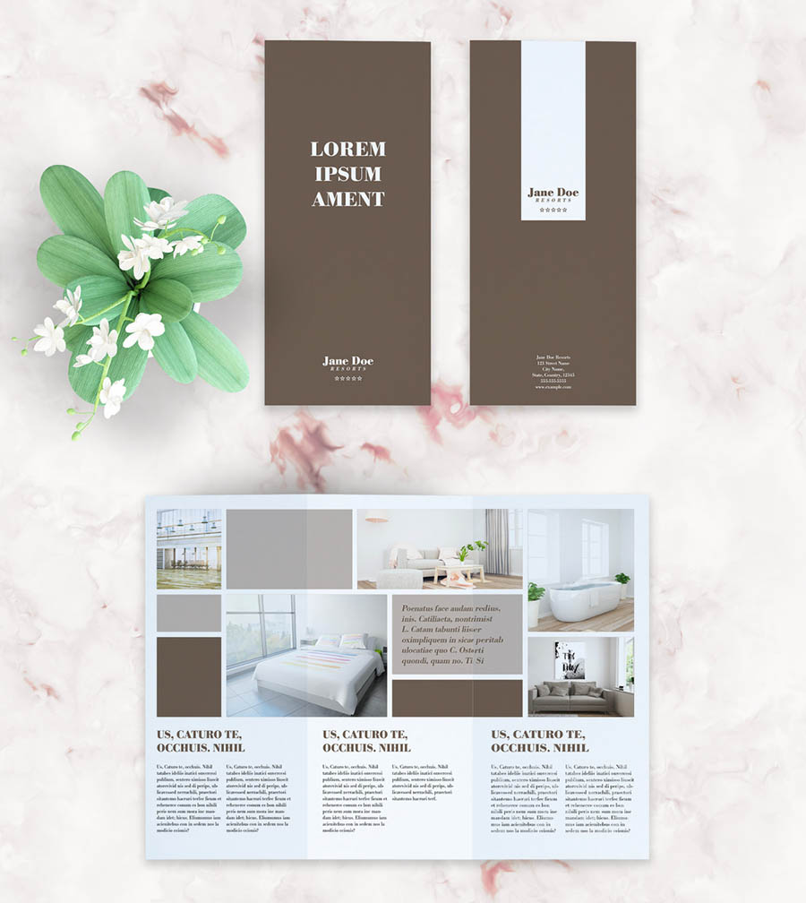 Brown and White Trifold Brochure Layout
