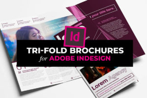 InDesign Tri Fold Brochure Templates (INDD)