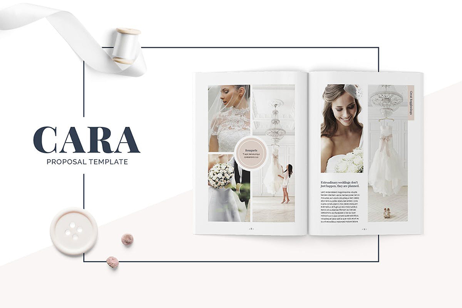 Cara Proposal Template