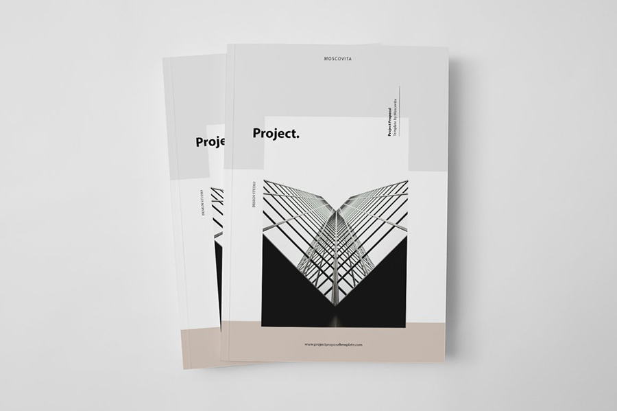 Elegant Project Proposal