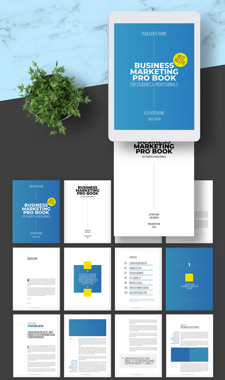 Digital Portfolio Layout