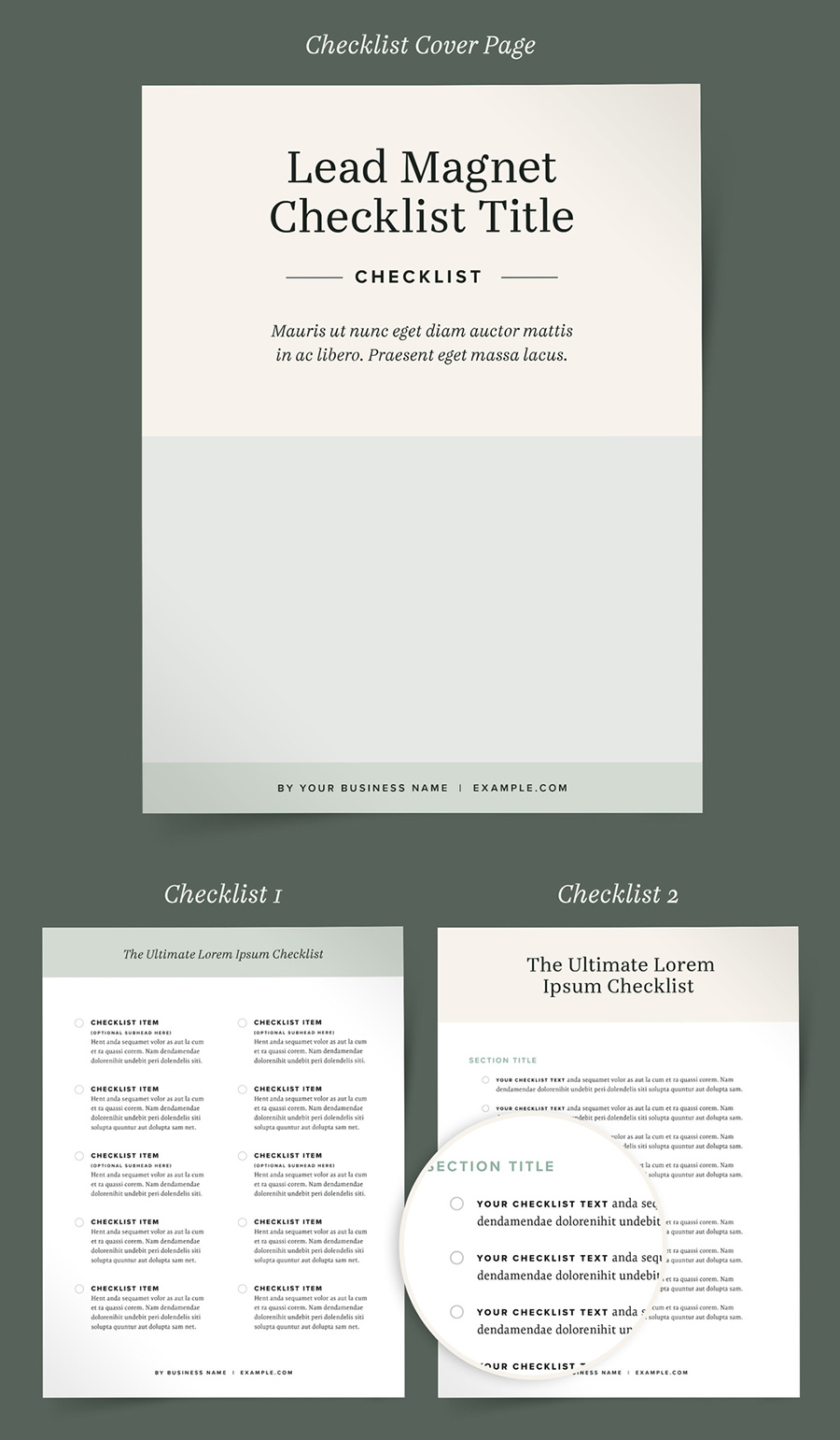 Portfolio Brochure Layout InDesign Template