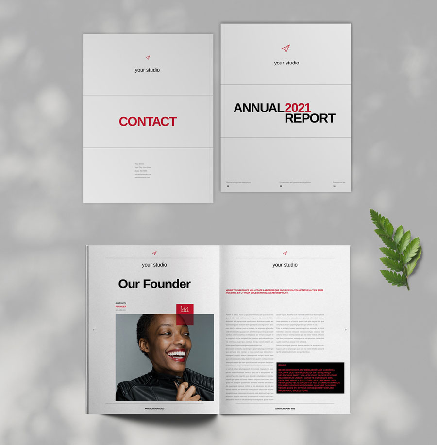 Annual Report Layout