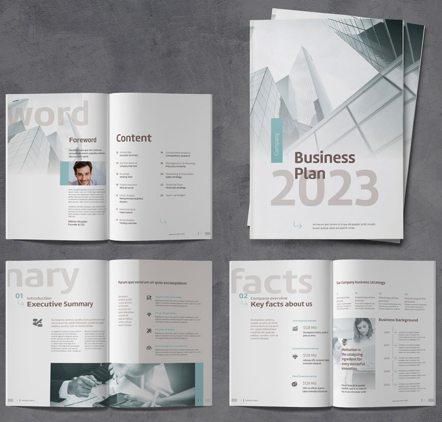 Business Plan Brochure with Brown and Blue Accents